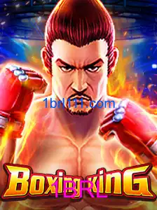 BoxingKing